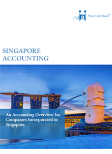 singapore-accounting-pdf.jpg